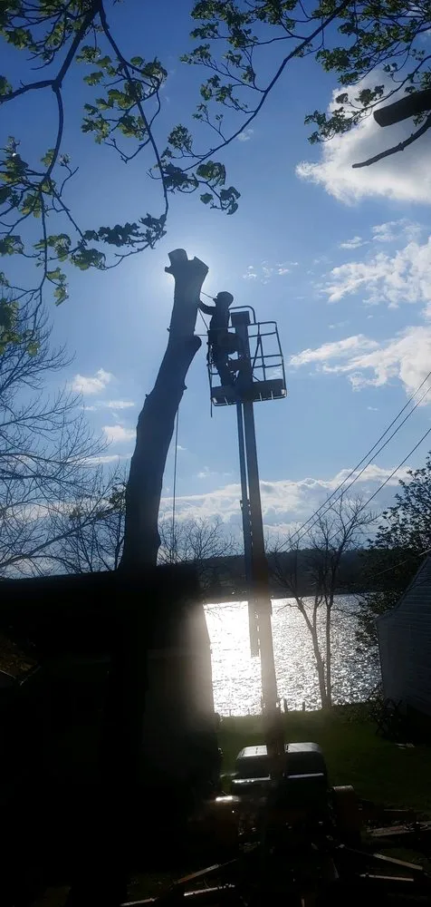 Local outdoor landscaping in Irondequoit, NY by Five Star Tree Services