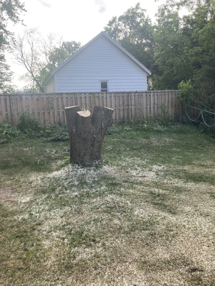 Professional yard maintenance experts serving Irondequoit, NY - Five Star Tree Services