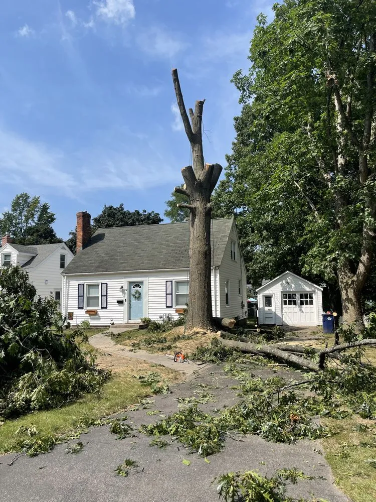 Affordable landscaping services near you in Irondequoit, NY by Five Star Tree Services