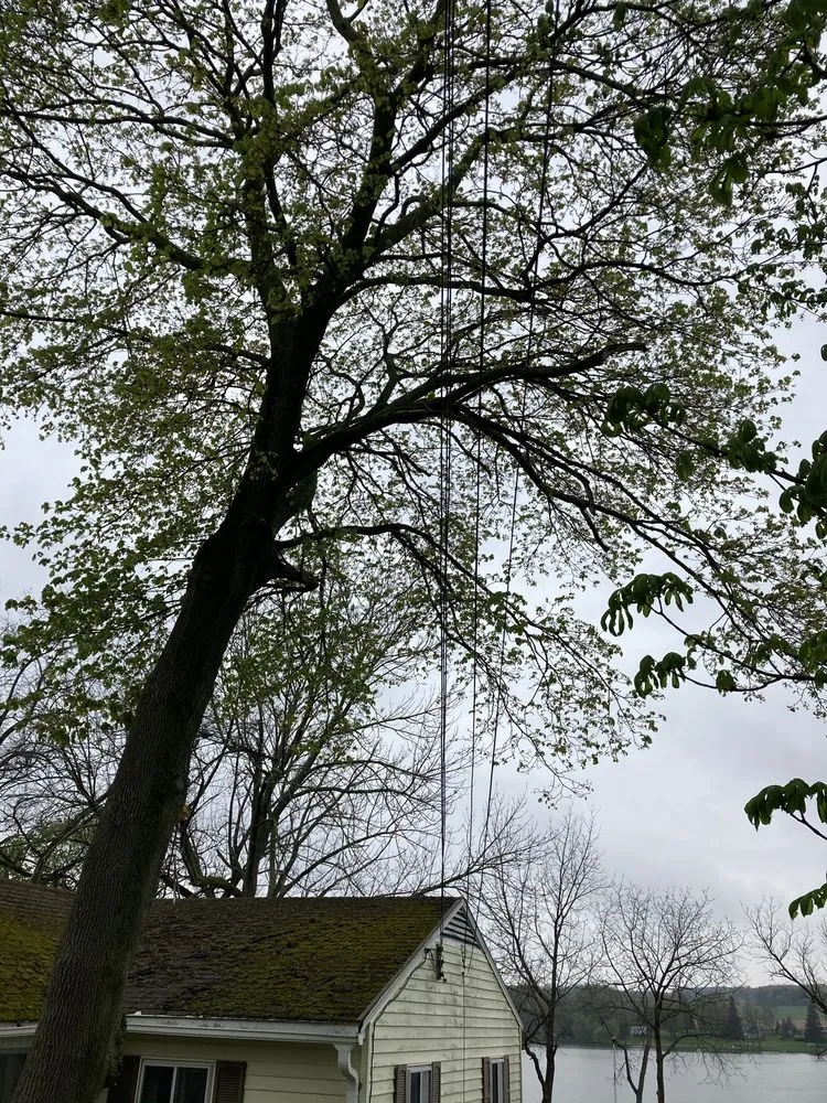 Trusted outdoor landscaping in Irondequoit, NY by Five Star Tree Services