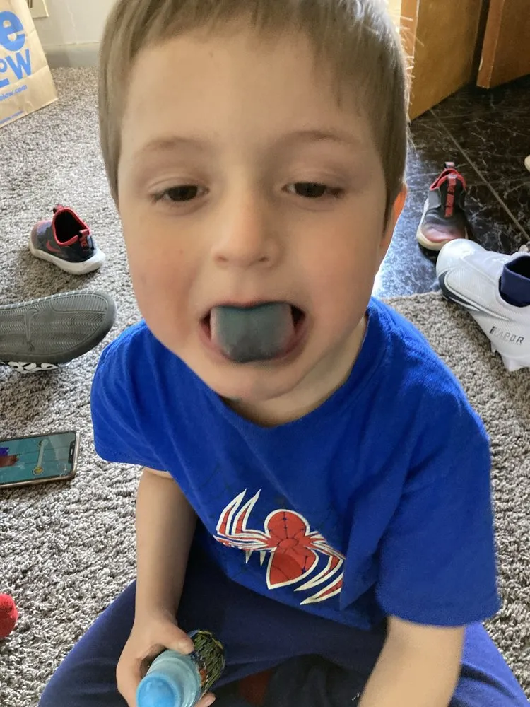 Affordable lawn care service experts serving Irondequoit, NY - Five Star Tree Services