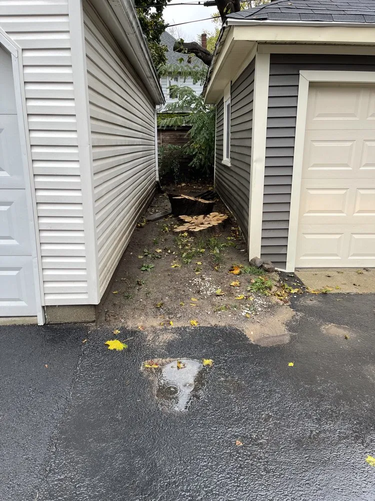 Professional landscape installation experts serving Irondequoit, NY - Five Star Tree Services