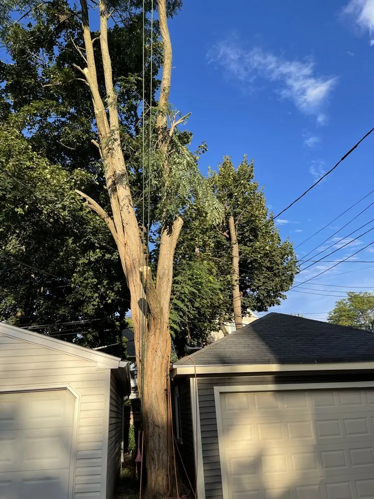 Affordable garden landscaping experts serving Irondequoit, NY - Five Star Tree Services