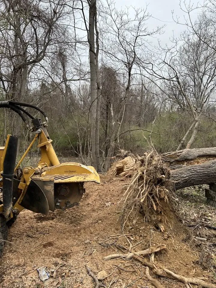 Professional landscape design in Stafford, VA by Five Star Tree