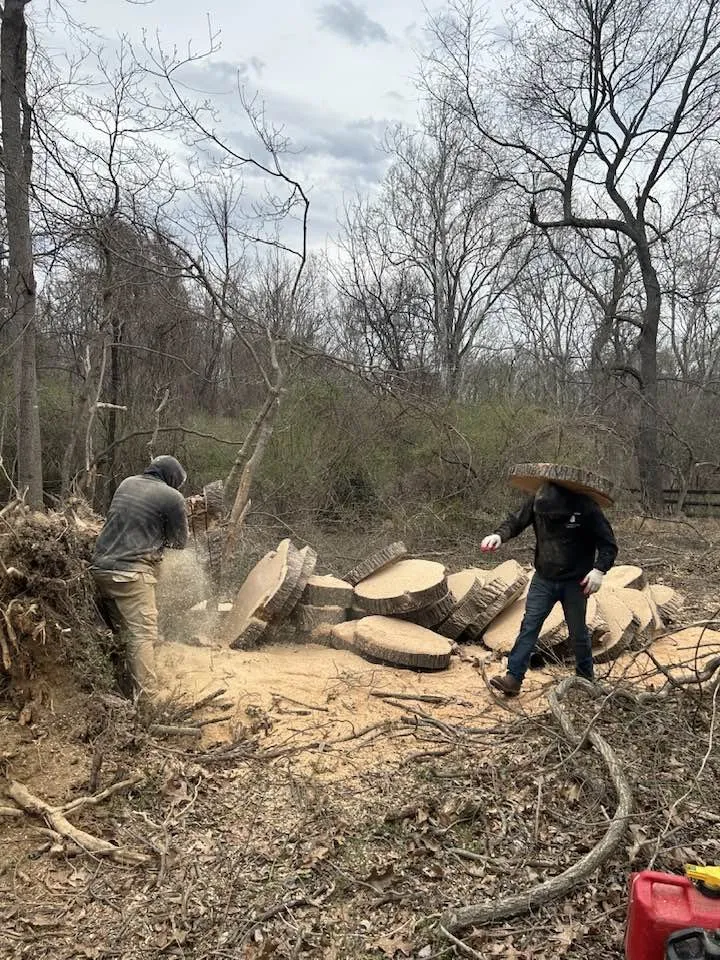 Professional landscaping services near you across Stafford, VA - Five Star Tree