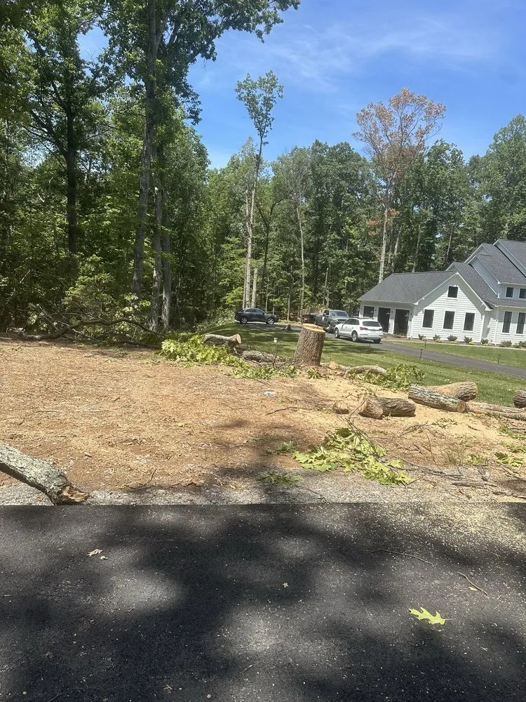 Expert lawn care service for year-round maintenance across Waynesboro, VA - Five Stars Landscaping