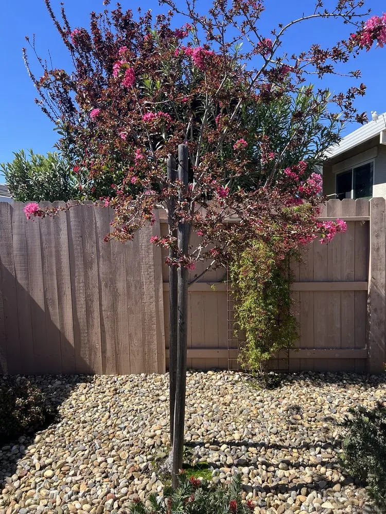 Affordable outdoor landscaping for beautiful yards across Fair Oaks, CA - FiveSTAR Landscape