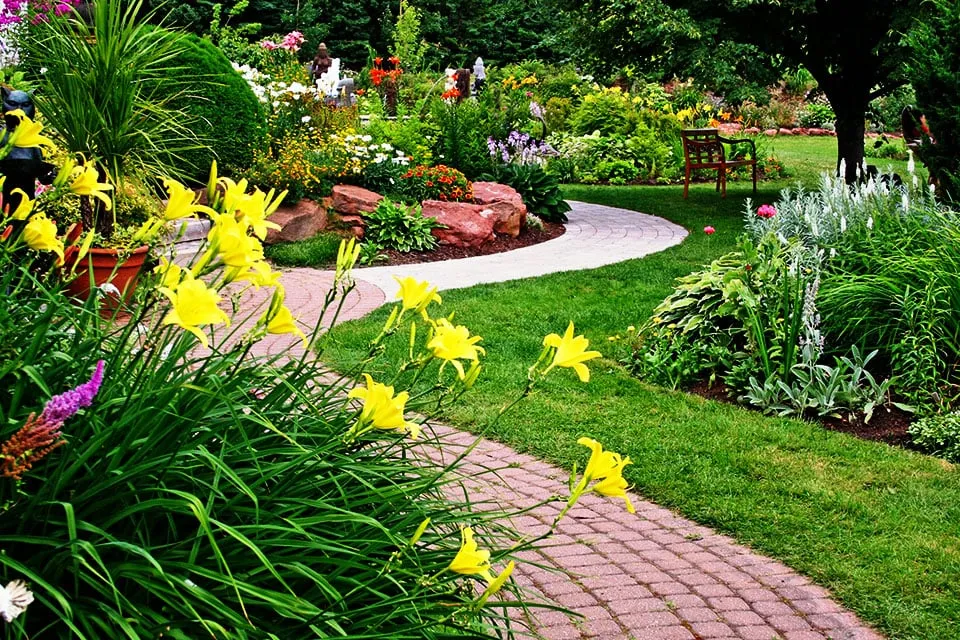 Custom yard cleanup service in Fair Oaks, CA by FiveSTAR Landscape