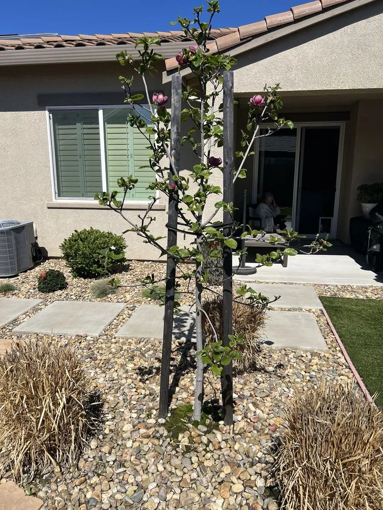 Trusted yard maintenance for homes across Fair Oaks, CA - FiveSTAR Landscape