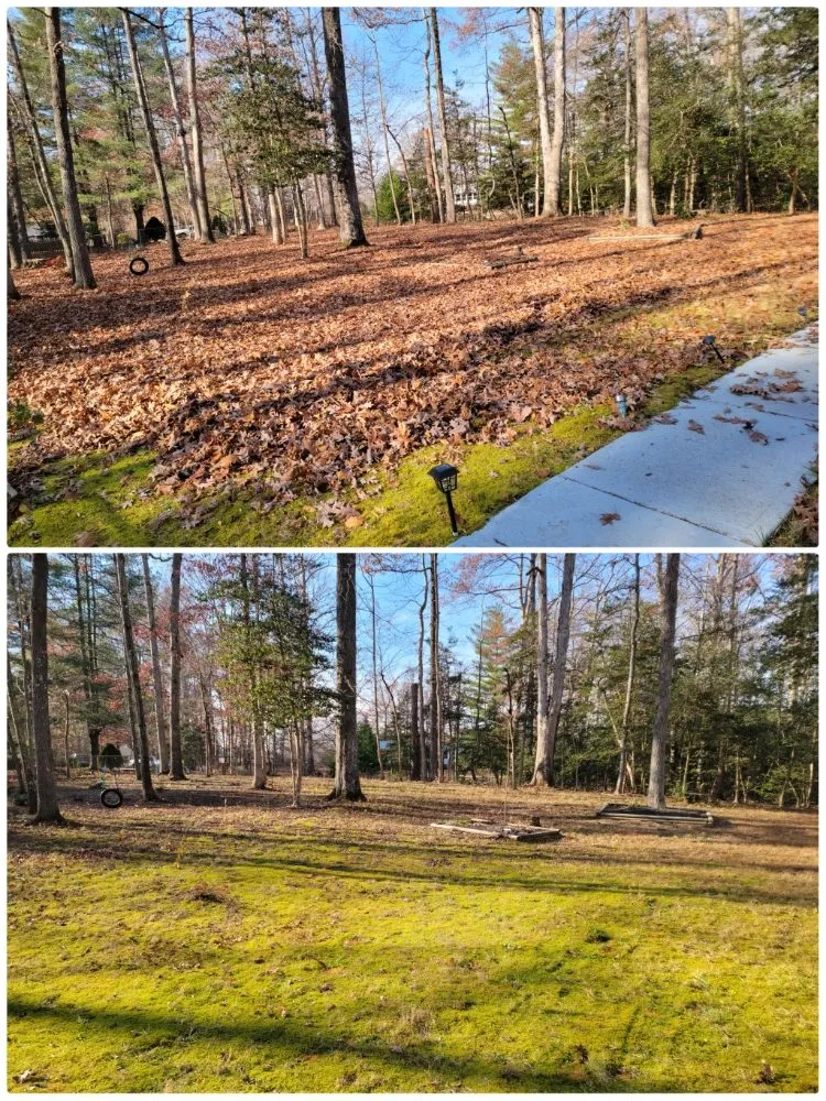 Top-rated lawn mowing service in Fredericksburg, VA by FiveSTAR Lawn Care