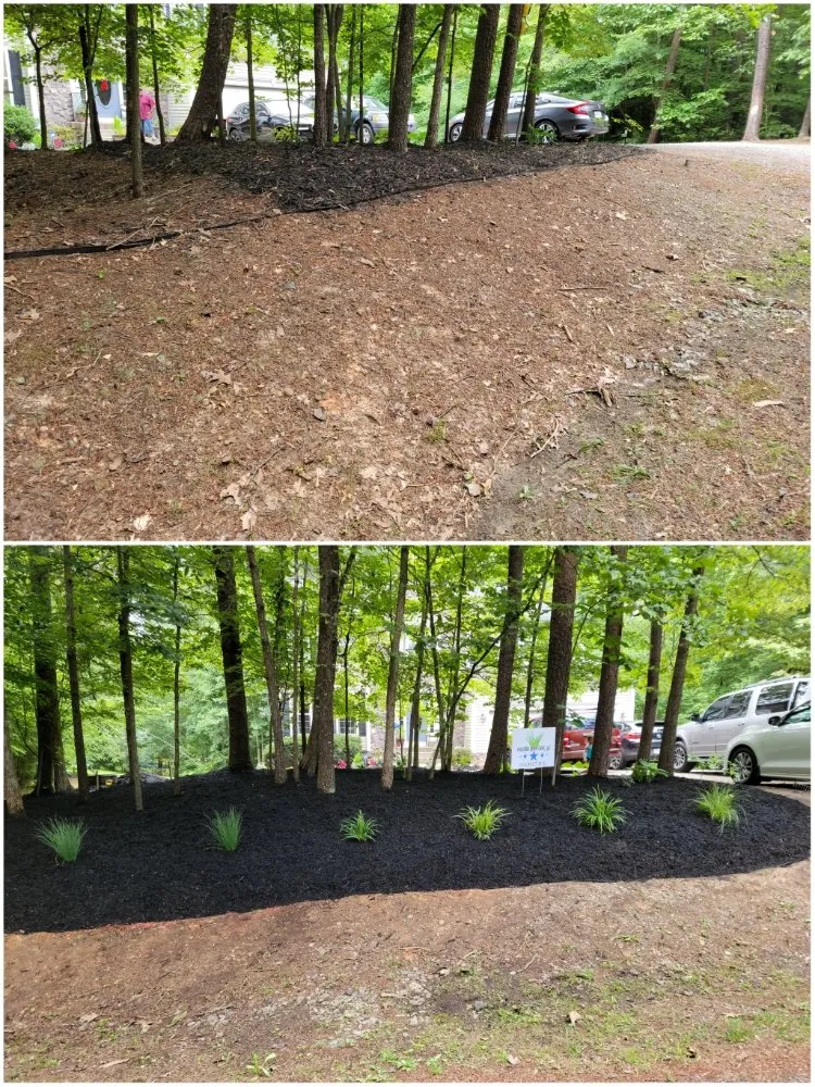 Top-rated outdoor landscaping in Fredericksburg, VA - FiveSTAR Lawn Care