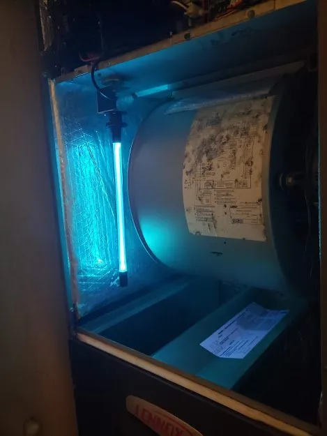 Trusted landscaping services experts serving North Lauderdale, FL - Fix-it-Felix