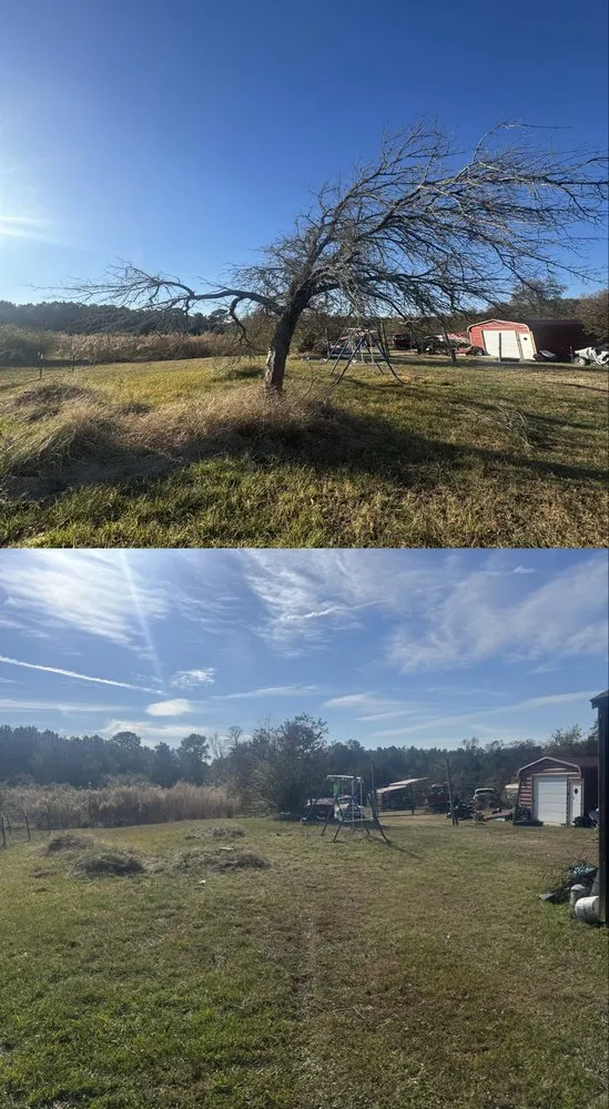 Top-rated yard maintenance experts serving Texarkana, TX - Fix It Handyman