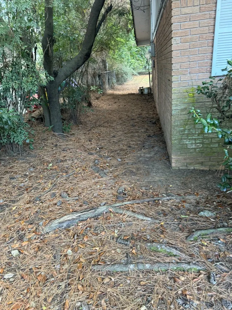 Top-rated yard maintenance for year-round maintenance across Texarkana, TX - Fix It Handyman