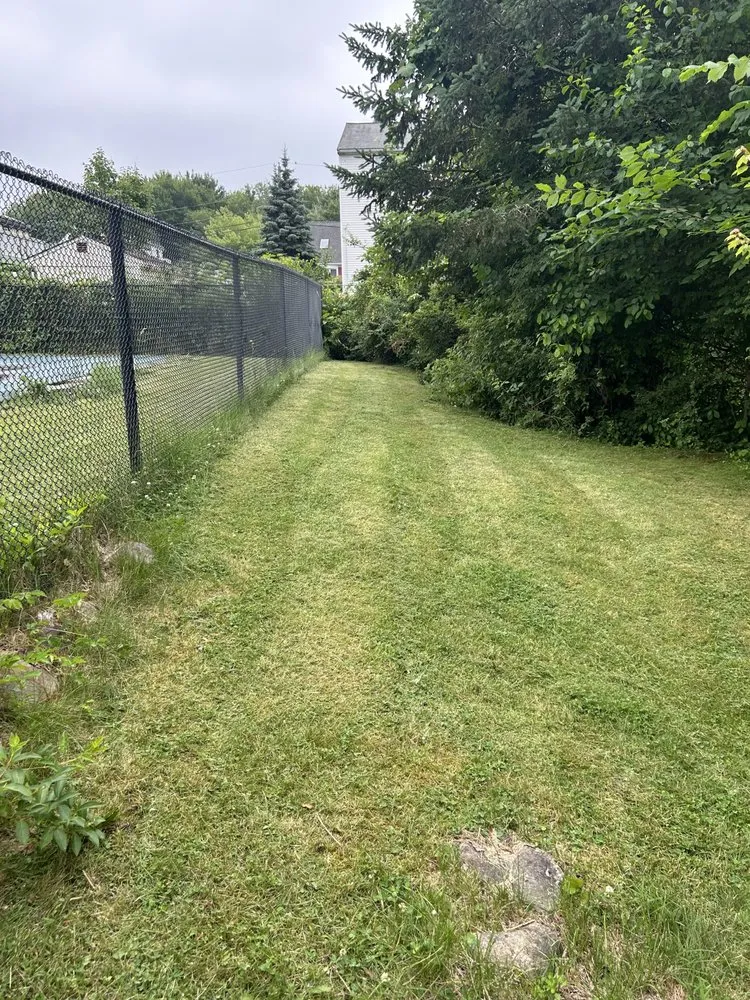 Top-rated lawn care service in Boston, MA - Fix It Solutions Home Service