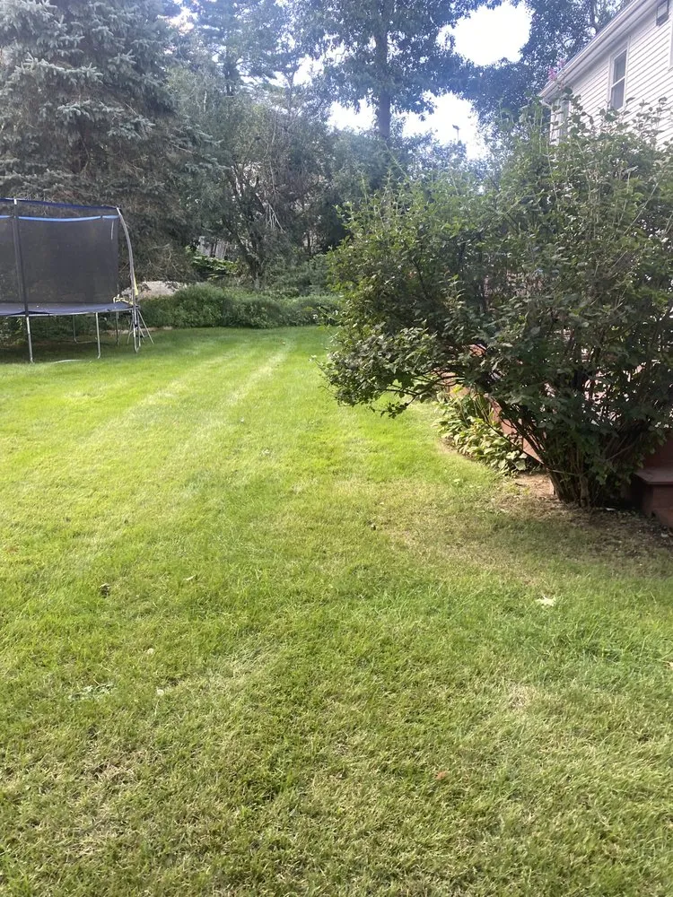 Reliable lawn mowing service with custom design across Boston, MA - Fix It Solutions Home Service