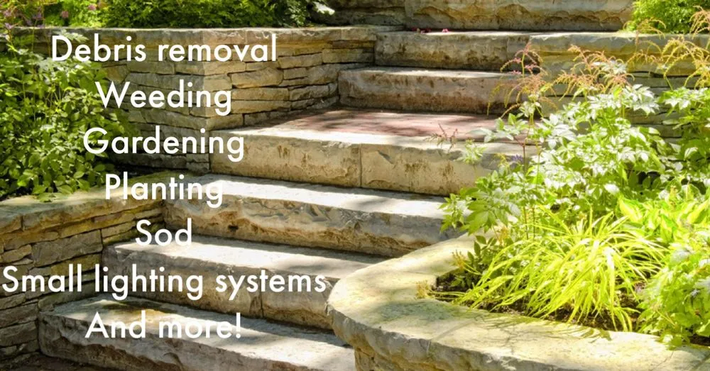 Reliable yard maintenance experts serving St. Petersburg, FL - Fix ‘N’ Clean