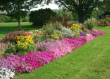 Top-rated residential landscaping for residential properties in Dover, MA by Fix Our Lawn