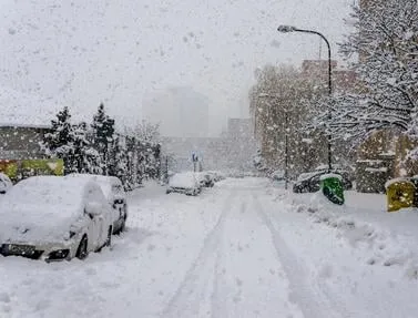 Local outdoor landscaping for homes across Dover, MA - Fix Our Lawn