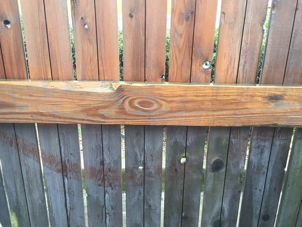 Expert garden landscaping in Jonesboro, GA by Fix This Please Home Maintenance and Home Rehab