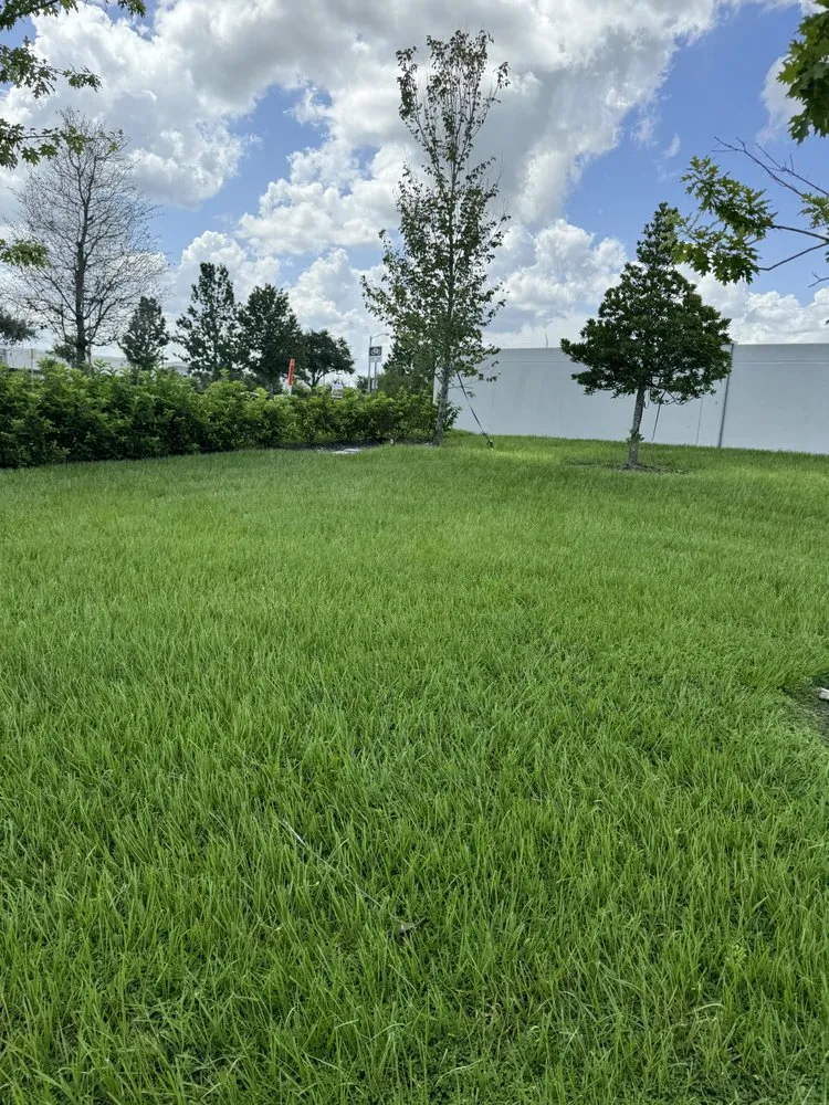 Expert lawn mowing service for homes in Alafaya, FL by Fix Your Irrigation