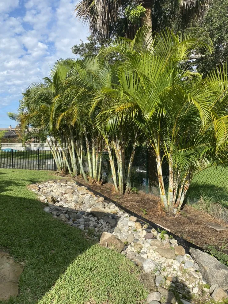 Reliable lawn mowing service near you in Merritt Island, FL by Fixed For Image