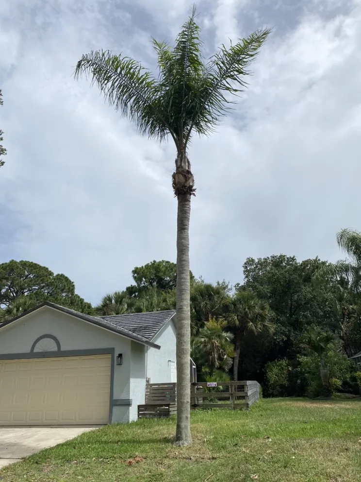 Reliable residential landscaping experts serving Merritt Island, FL - Fixed For Image