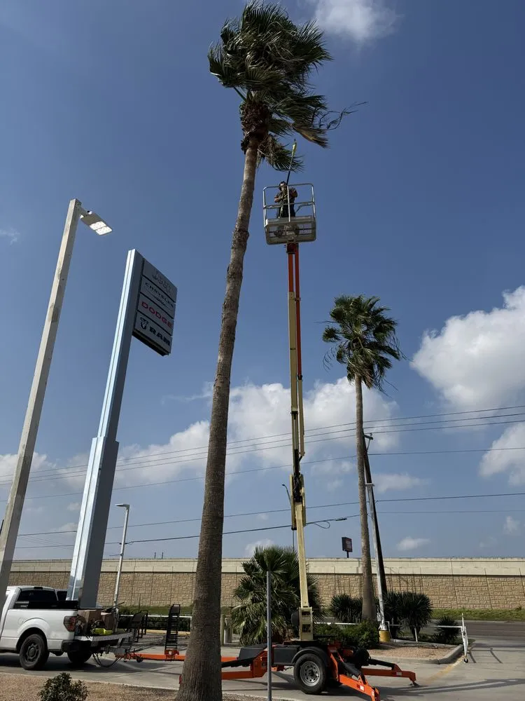 Expert landscape installation in Corpus Christi, TX - Fixed Income Landscaping