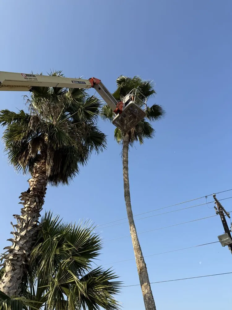 Reliable lawn mowing service in Corpus Christi, TX by Fixed Income Landscaping