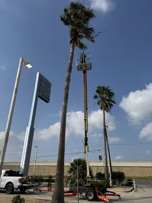 Fixed Income Landscaping