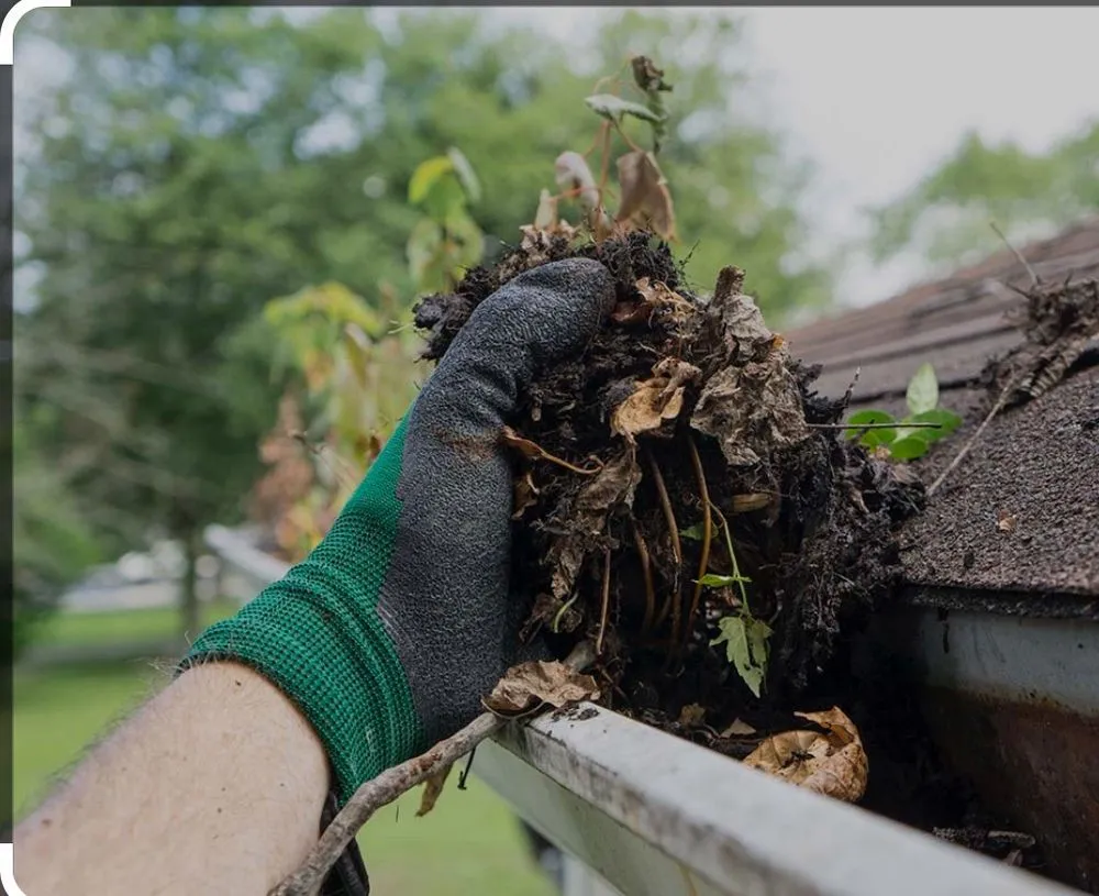 Reliable garden landscaping for homes across Rapid City, SD - FixItFast