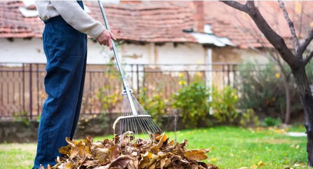 Affordable garden landscaping experts serving Rapid City, SD - FixItFast