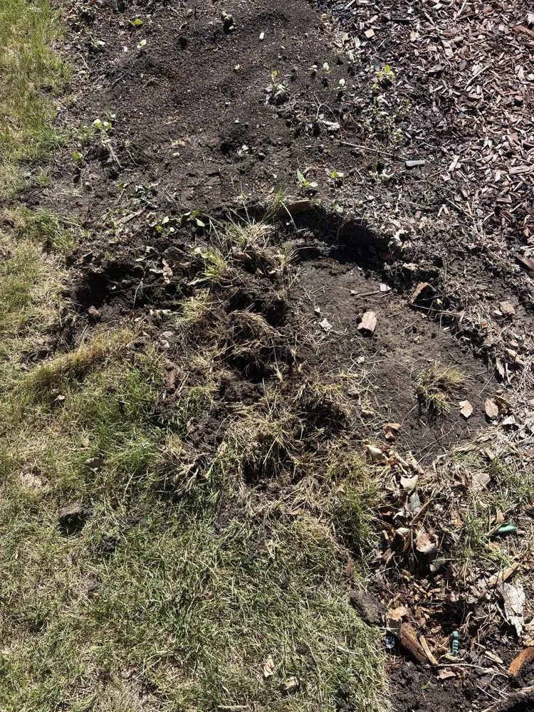 Local lawn mowing service in Rapid City, SD by FixItFast