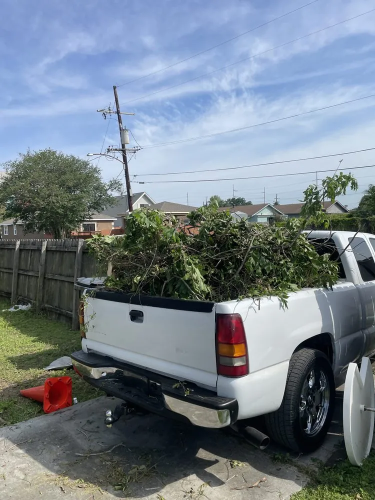 Expert residential landscaping in New Orleans, LA by Fiyas Landscaping