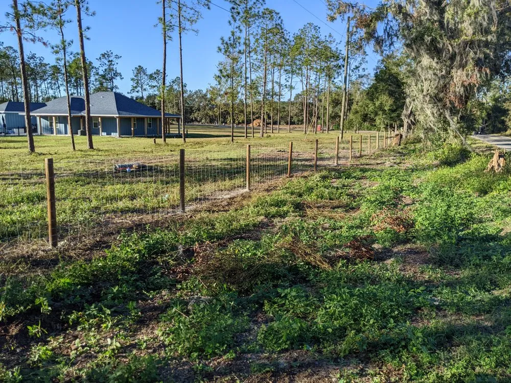 Affordable landscape design in Brooksville, FL - F&J Curl
