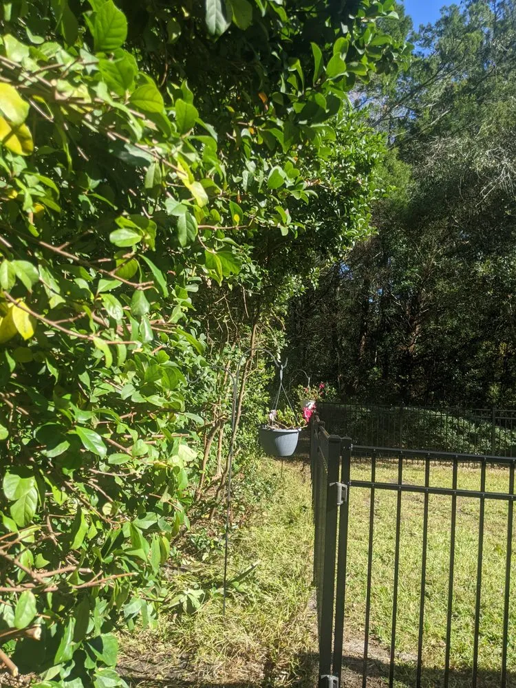 Top-rated outdoor landscaping in Brooksville, FL - F&J Curl