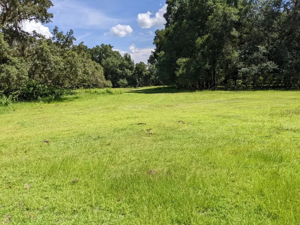 Expert lawn mowing service experts serving Brooksville, FL - F&J Curl