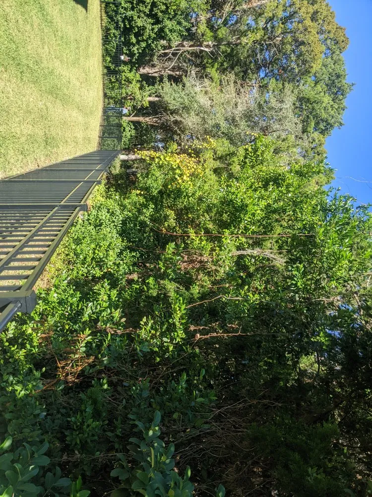 Top-rated residential landscaping for beautiful yards across Brooksville, FL - F&J Curl