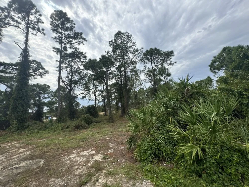 Professional landscaping services for homes in Cape Coral, FL by F&j Debris Removal