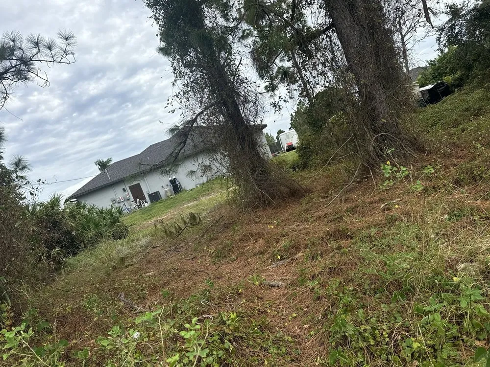 Professional residential landscaping in Cape Coral, FL by F&j Debris Removal