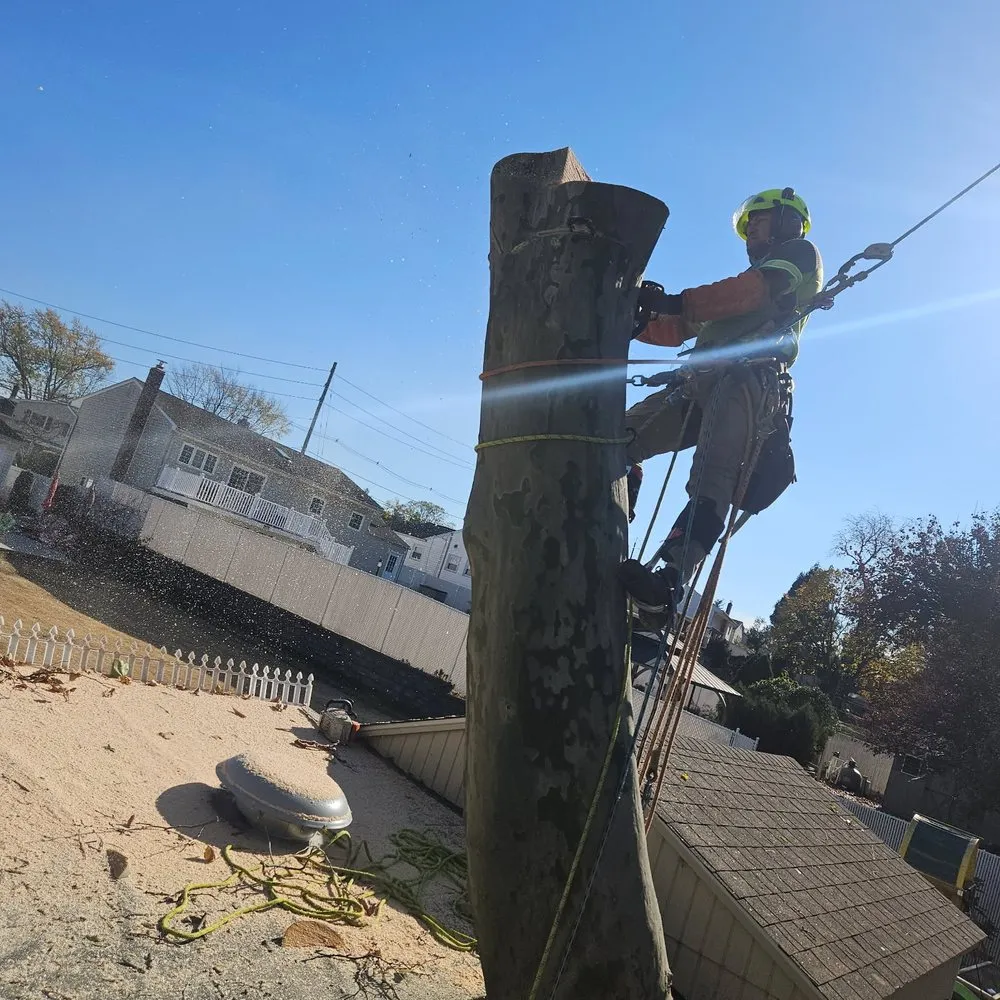 Local landscape installation with custom design across New Brunswick, NJ - FJ Landscaping & Tree Service