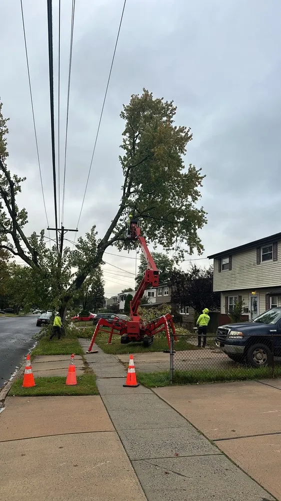 Custom lawn care service in New Brunswick, NJ - FJ Landscaping & Tree Service