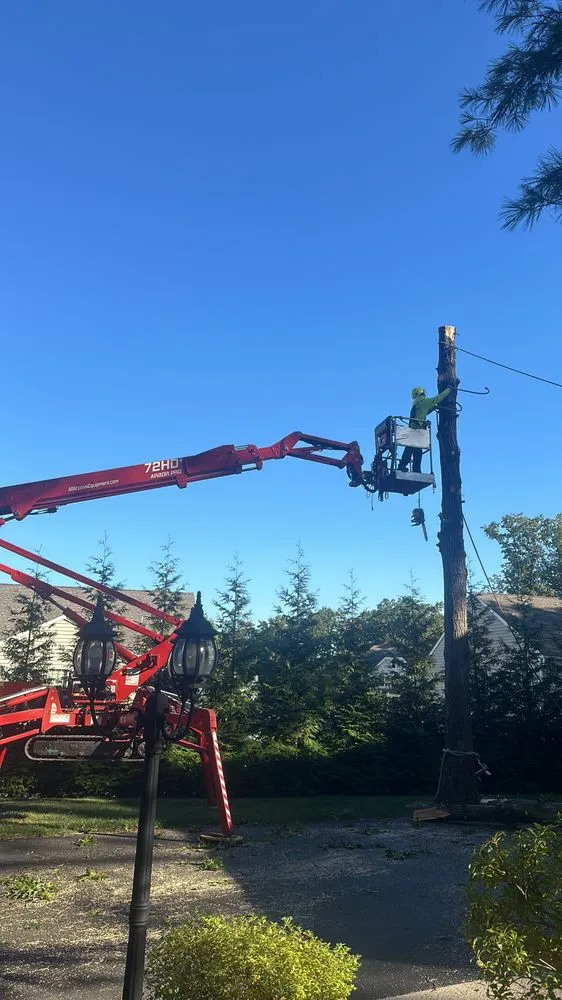 Expert lawn care service with custom design in New Brunswick, NJ by FJ Landscaping & Tree Service