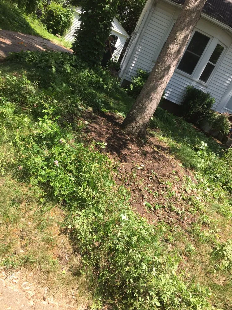 Affordable outdoor landscaping for outdoor upgrades across Pontiac, MI - F&J Landscaping