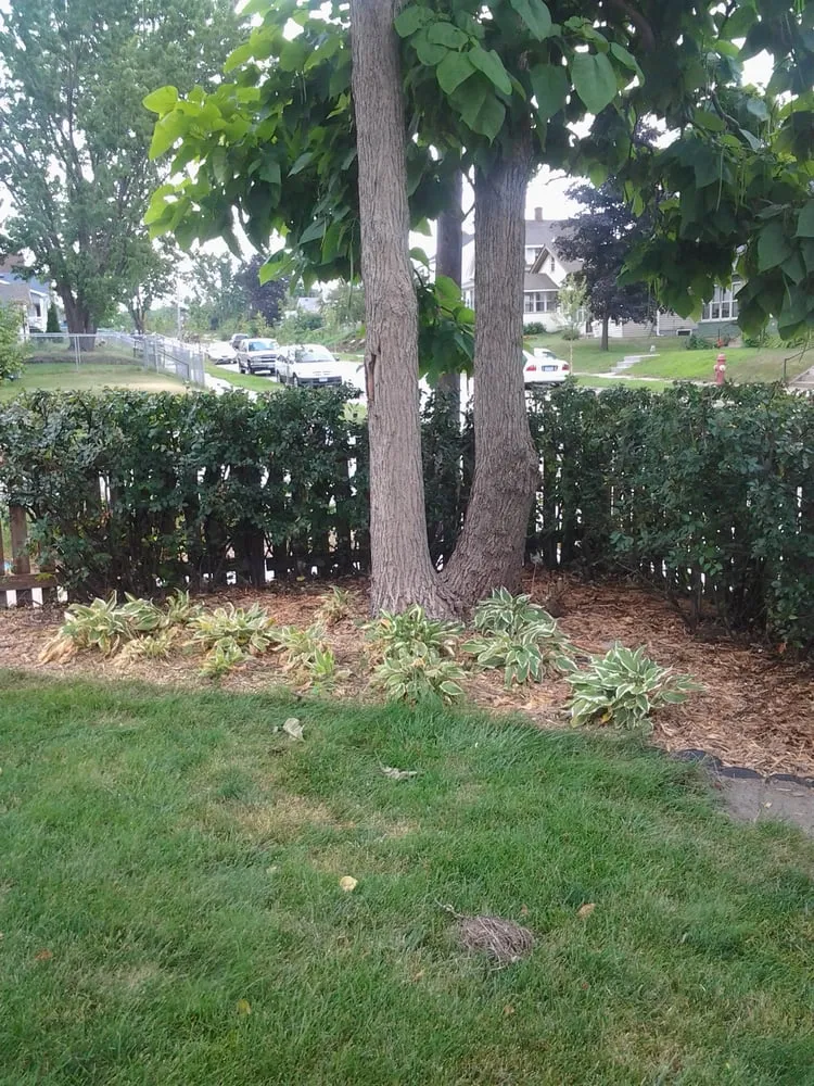 Top-rated yard maintenance for homes in Minneapolis, MN by Fj Lawn Care