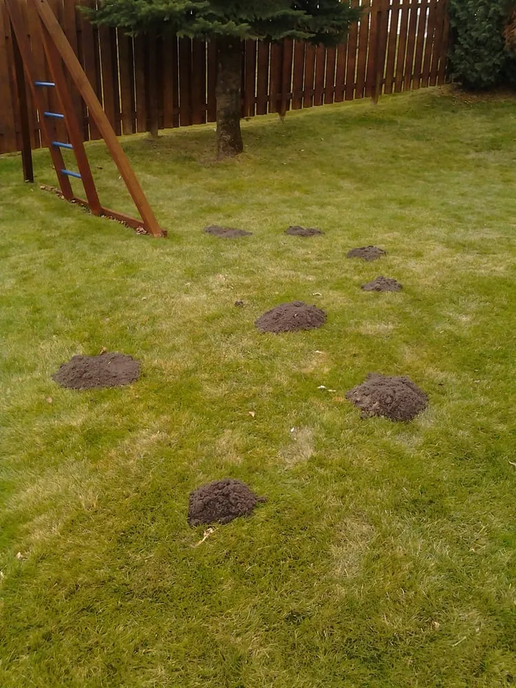 Reliable landscaping services for residential properties across Minneapolis, MN - Fj Lawn Care