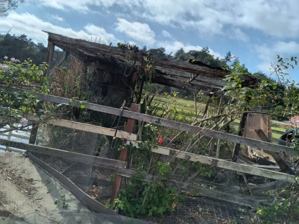 Trusted yard cleanup service experts serving Los Gatos, CA - F&J Outdoor Service