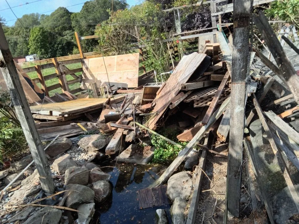 Professional yard maintenance for homes across Los Gatos, CA - F&J Outdoor Service