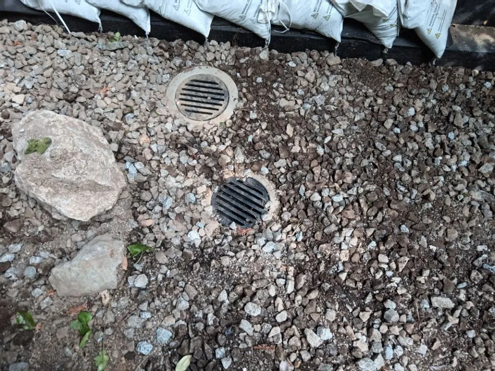 Professional lawn care service for year-round maintenance in Los Gatos, CA by F&J Outdoor Service