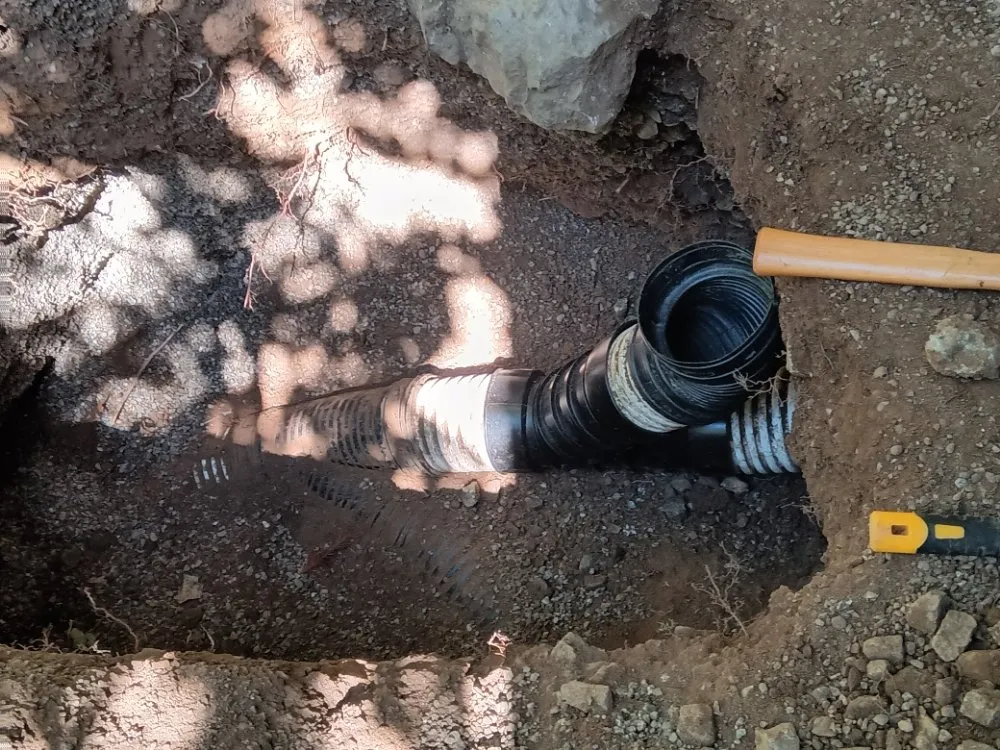 Affordable lawn care service in Los Gatos, CA by F&J Outdoor Service